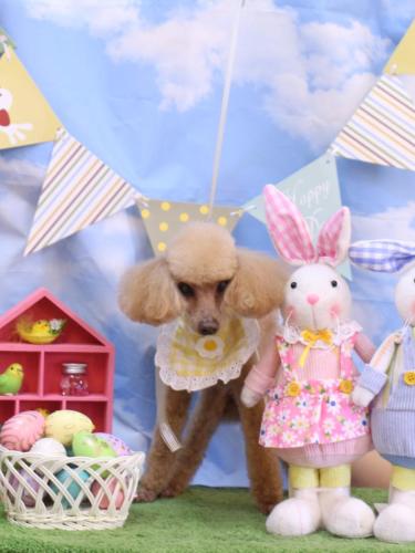 20240320リールちゃん